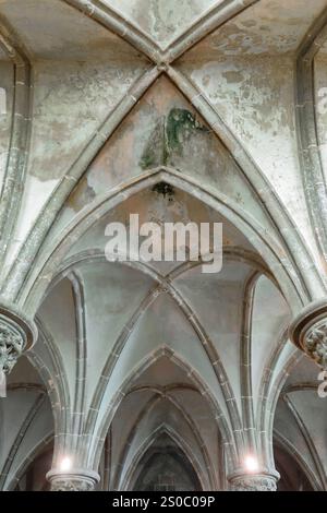 136 gotische Rippengewölbe, die den Rittersaal bedecken, mögliches Scriptorium der Abtei aus den Jahren 1220-25, Le Mont-Saint-Michel. Normandie-Frankreich. Stockfoto