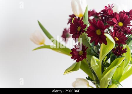 Bouquet von Tulpen und Chrysanthemen in einer Vase auf weißem Hintergrund. Stockfoto