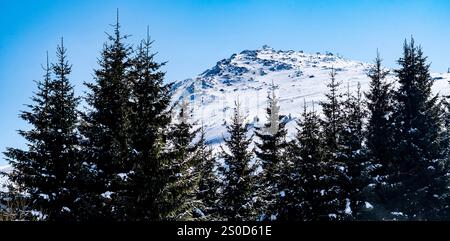 Schneebedeckter Berggipfel mit immergrünen Bäumen im Vordergrund unter einem klaren blauen Himmel. Stockfoto