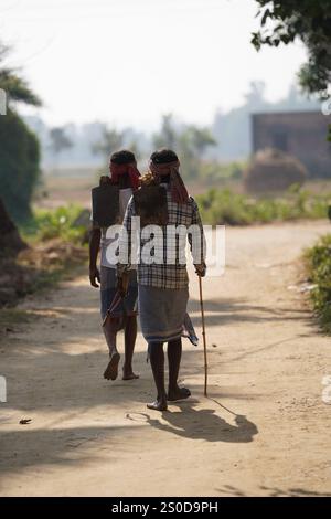 Santiniketan, Indien. Dezember 2024. Auf einem getrockneten Reisfeld in der Nähe von Santiniketan setzt die Gemeinde Santal die traditionelle Praxis der Rattenjagd nach der Erntezeit fort. Die Ratten werden typischerweise in selbstgebauten Höhlen in der Nähe der Böschungen der Felder gefunden und von den Dorfbewohnern der Adivasi mit einfachen Werkzeugen ausgegraben. Die Praxis, die tief in ihren kulturellen Traditionen verwurzelt ist, bietet eine Nahrungsquelle, während die Ratten geröstet und verzehrt werden. Diese uralte Aktivität spiegelt den Einfallsreichtum und die Verbindung der Santal mit ihrer natürlichen Umgebung wider und zeigt einen einzigartigen Aspekt des ländlichen Lebens in Stockfoto