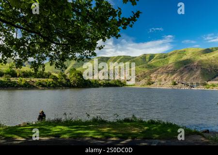 Blick vom Wawai Landing entlang des Lower Granite Lake am Snake River in der Region Palouse, Washington State, USA Stockfoto