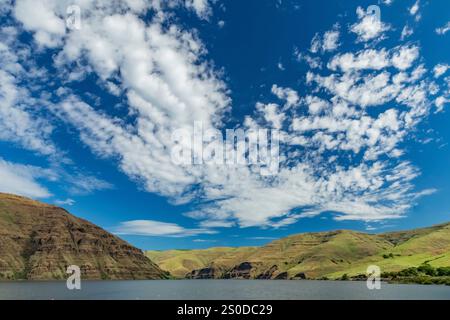 Blick vom Wawai Landing entlang des Lower Granite Lake am Snake River in der Region Palouse, Washington State, USA Stockfoto