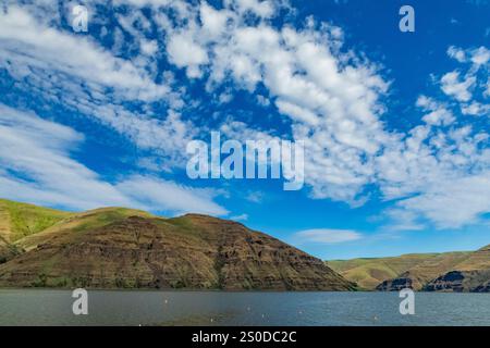 Blick vom Wawai Landing entlang des Lower Granite Lake am Snake River in der Region Palouse, Washington State, USA Stockfoto