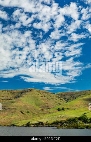 Blick vom Wawai Landing entlang des Lower Granite Lake am Snake River in der Region Palouse, Washington State, USA Stockfoto