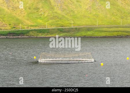 Isafjordur, Island - 25. August 2024: Pool und Netz einer Fischzucht im Fjord nahe der abgelegenen Stadt Isafjordur im Norden Islands Stockfoto