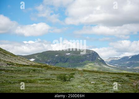 Grüne Wiese vor dem Hintergrund grüner Hügel. Blauer Himmel mit Wolken. Reise in die Wildnis. Stockfoto