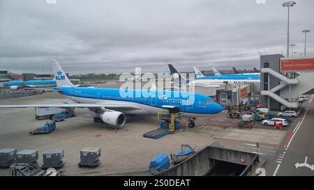 Internationaler Flughafen Schiphol ein KLM Royal Dutch Airlines Flugzeug, das am Gate geparkt ist und die Bodenbesatzung effizient arbeitet. Stockfoto