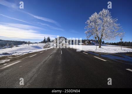 Bundesstraße B500, Winterlandschaft, freistehender schneebedeckter Baum, tiefblauer Himmel mit Schleierwolken, Titisee-Neustadt, Schwarzwald, Breisgau-Hochschw Stockfoto