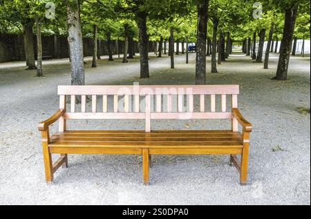 Holzbank vor einer Allee mit Bäumen in einem öffentlichen Park Stockfoto