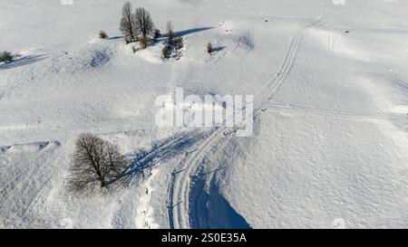 Aus der Vogelperspektive auf einen schneebedeckten Hügel mit kargen Bäumen und sichtbaren Pfaden, die sich durch den unberührten Schnee schlängeln. Stockfoto