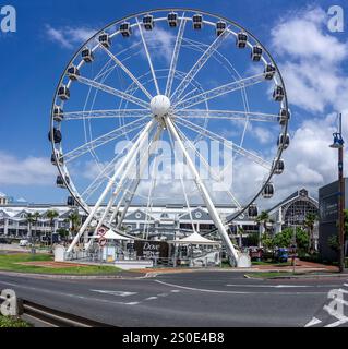 Das Cape Town Wheel am V&A Waterfront in Kapstadt, Südafrika am 5. Dezember 2024 Stockfoto