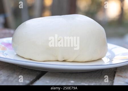 Ein großes, rundes Stück Teig auf einem Teller, ein weißes und sehr weich aussehendes Stück Frischkäse mit abgerundeter Form und glatter Textur. Stockfoto