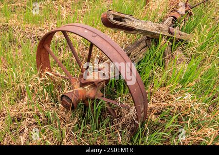 Ein rostiges Rad liegt auf dem Gras. Das Rad ist alt und verrostet, und es liegt auf dem Gras auf einem Feld. Die Szene ist etwas melancholisch, so wie die Wimper Stockfoto