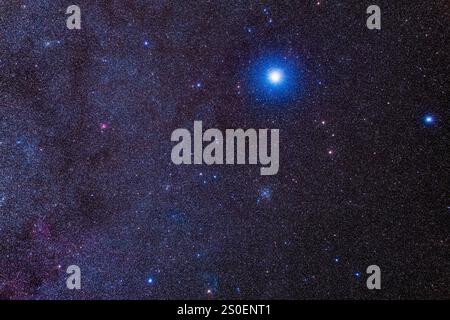 Ein weites Sichtfeld um den hellen Stern Sirius mit dem Messier 41 Sternhaufen darunter. Stockfoto