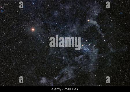 NGC 2156, der Southern Beehive Cluster, in der Nähe des hellen Sterns Epsilon Carinae. Stockfoto