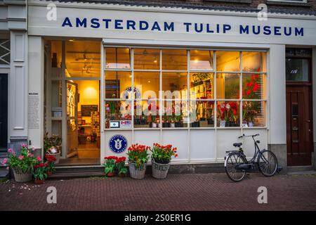 Das Amsterdamer Tulpenmuseum, Amsterdam, Holland, Niederlande Stockfoto