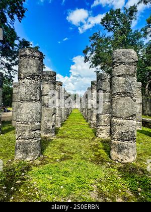Steinsäulen auf der Plaza mit 1000 Säulen am Tempel der Krieger, die für Zeremonien in Chichen Itza, Mexiko, verwendet wurden Stockfoto