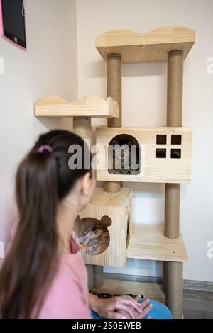 Alte gestresste Katze weigert sich, das Katzenhaus im Tierhotel zu verlassen. Frau, die das Haustier beruhigt, sprich sanft Stockfoto