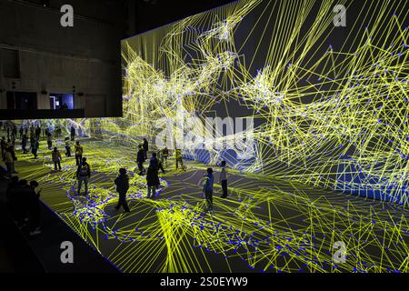 FRANKREICH. PARIS (75) (12. BEZIRK) DIE IMMERSIVE AUSSTELLUNG „PIXEL“, (DIGITALE KUNST), VON MIGUEL CHEVALIER, IM GRAND PALAIS IMMERSIF, LY Stockfoto