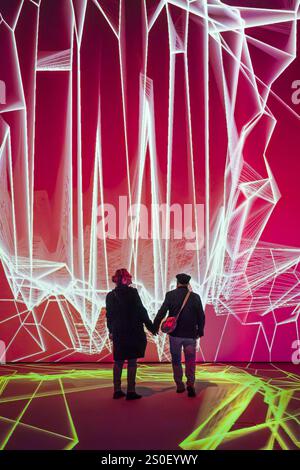 FRANKREICH. PARIS (75) (12. BEZIRK) DIE IMMERSIVE AUSSTELLUNG „PIXEL“, (DIGITALE KUNST), VON MIGUEL CHEVALIER, IM GRAND PALAIS IMMERSIF, LY Stockfoto