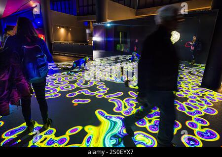 FRANKREICH. PARIS (75) (12. BEZIRK) DIE IMMERSIVE AUSSTELLUNG „PIXEL“, (DIGITALE KUNST), VON MIGUEL CHEVALIER, IM GRAND PALAIS IMMERSIF, LY Stockfoto