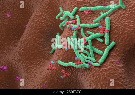 Monoklonale Antikörpertherapie bei Helicobacter pylori - isometrische 3D-Darstellung Stockfoto
