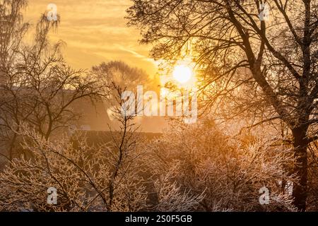 Winterwunderland in Waldperlach, Sonnenaufgang über Gärten und Dächern, wunderbares Morgenrot, München, 28. Dezember 2024 Deutschland, München, Dezember 2024, Sonnenaufgang über Waldperlach, herrlicher Wintermorgen bei Temperaturen von -4 Grad, Raureif liegt auf den Bäumen, glitzert im Gegenlicht der Morgensonne, das Morgenrot färbt den Himmel über München-Waldperlach, Winterwunderland, Frost, Nachtfrost, Winterwetter, Winter, Bayern, bayerisch, *** Winterwunderland in Waldperlach, Sonnenaufgang über Gärten und Dächern, herrlicher Sonnenaufgang, München, 28. Dezember 2024 Deutschland, München, Dezember 2024, Sonnenblume Stockfoto