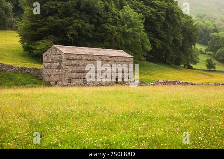 Eine Scheune in einer blühenden Wildblumenwiese in der Nähe von Muker, Yorkshire, Großbritannien Stockfoto