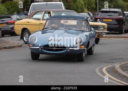 Jaguar E-Type fährt um einen Kreisverkehr Stockfoto