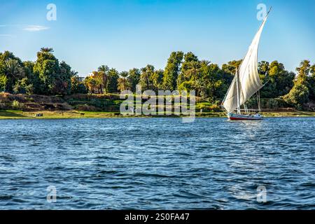 Assuan, Ägypten; 18. Januar 2024: Begeben Sie sich auf ein Phalucca-Abenteuer auf dem Nil im Land der Pharaonen. Erkunden Sie den Nil mit einem traditionellen Segelboot Stockfoto