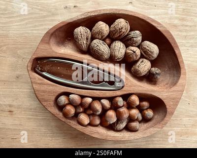 Eine Schüssel, die wie die Innenseite einer Walnuss geformt ist, gefüllt mit Walnüssen und Haselnüssen Stockfoto