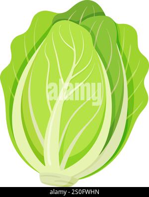 Frisee-Salat, napa-Kohl-Gemüse zum Kochen von Mahlzeiten. Ein helles, handgezeichnetes, trendiges, flaches Element, das für Design isoliert ist. Vektorabbildung Stock Vektor