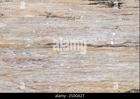 Die Textur von farbigen Steinfelsen in der Natur für Hintergrundtapeten Stockfoto