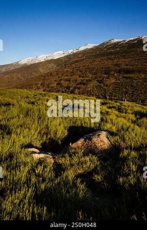 Tornavacas Pass, Hell's Gorge Nature Reserve, Tormantos Mountains, Jerte Valley, Caceres, Extremadura, Spanien, Europa Stockfoto