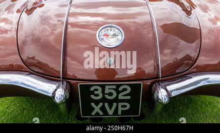 Eine Chevrolet Corvette auf dem Londoner Concours 2024 Stockfoto