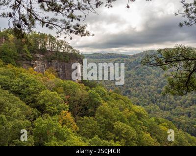 Der Endless Wall Trail im New River Gorge National Park bietet beeindruckende Felsformationen, die Naturliebhabern ein atemberaubendes Erlebnis bieten. Stockfoto