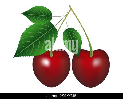 Reife rote Kirschbeeren mit Blättern. Stock Vektor