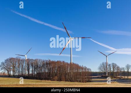 Windpark im Winter, 28.12.2024 drei Windkraftanlagen in einer frostigen Winterlandschaft, umgeben von Bäumen und Wiesen, unter einem klaren blauen Himmel. Kondensstreifen ziehen sich über den Himmel und ergänzen die Szene. Puschwitz Guhra Sachsen Deutschland *** Windpark im Winter, 28 12 2024 drei Windräder in einer frostigen Winterlandschaft, umgeben von Bäumen und Wiesen, unter klarem blauem Himmel ziehen sich Kondensstreifen über den Himmel und runden die Szene ab Puschwitz Guhra Sachsen Deutschland 20241228-6V2A4729-M4000 Stockfoto