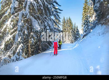 Blick zurück zu den Skifahrern auf einer Skipiste durch den schneebedeckten Firnwald im Skigebiet tarentaise französisch alpen Stockfoto