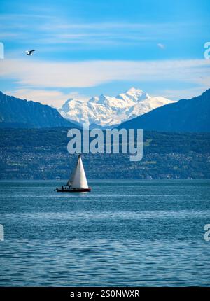 Morges, Schweiz - 6. September 2024: Ein Segelboot gleitet über einen ruhigen See, majestätische schneebedeckte Berge bilden eine atemberaubende Kulisse unter einem c Stockfoto