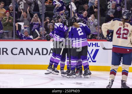 St. Paul, Minnesota, USA. Dezember 2024. Die Spieler von Minnesota Frost feiern, nachdem sie ein Tor geschossen haben. Die Minnesota Frost und die Montreal Victoire standen am 28. Dezember im XCEL Energy Center in St. Paul Minnesota gegenüber. Die Montreal Victoire siegten mit 3:2. (Kreditbild: © Michael Turner/ZUMA Press Wire) NUR REDAKTIONELLE VERWENDUNG! Nicht für kommerzielle ZWECKE! Quelle: ZUMA Press, Inc./Alamy Live News Stockfoto