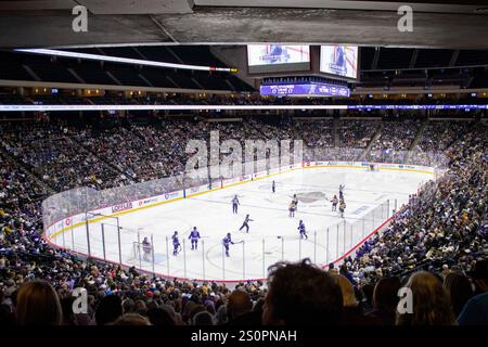 St. Paul, Minnesota, USA. Dezember 2024. Die Fans beobachten, wie die Minnesota Frost und die Montreal Victoire spielen. Die Minnesota Frost und die Montreal Victoire standen am 28. Dezember im XCEL Energy Center in St. Paul Minnesota gegenüber. Die Montreal Victoire siegten mit 3:2. (Kreditbild: © Michael Turner/ZUMA Press Wire) NUR REDAKTIONELLE VERWENDUNG! Nicht für kommerzielle ZWECKE! Quelle: ZUMA Press, Inc./Alamy Live News Stockfoto