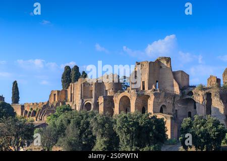 Blick auf den Palatin in Rom, Italien: Überreste des Domus Severiana. Stockfoto