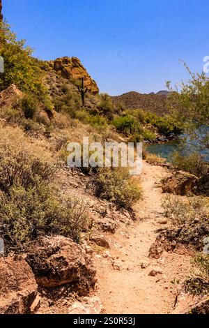 Ein felsiger Pfad schlängelt sich durch eine Wüstenlandschaft. Der Weg ist gesäumt von karger Vegetation, darunter ein paar Büsche und ein einsamer Kakteen. Der Himmel i Stockfoto