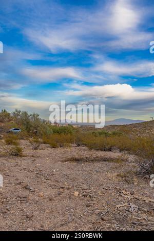Dieses Foto fängt die raue Schönheit von Tucson, Arizona, mit seiner dramatischen Berglandschaft am Horizont ein. Saguaro Kakteen Punkt Stockfoto