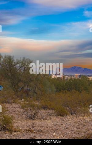 Dieses Foto fängt die raue Schönheit von Tucson, Arizona, mit seiner dramatischen Berglandschaft am Horizont ein. Saguaro Kakteen Punkt Stockfoto