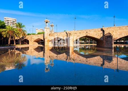 Die Puente del Mar ist eine Fußgängerbrücke, die den Fluss Turia in der Stadt Valencia in Spanien kreuzt Stockfoto