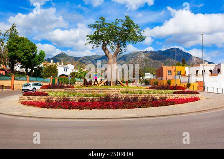 Baobab- oder Flaschenbaum am Kreisverkehr Rotonda Mateo Alvarez Gomez in Marbella in der Provinz Malaga in Andalusien, Spanien Stockfoto