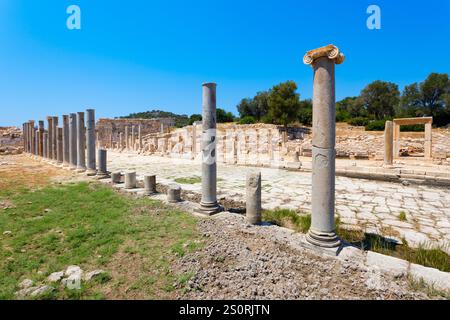 Säulen an der Hauptstraße von Patara. Patara war eine antike Stadt und die Hauptstadt von Lycia. Es befindet sich in der Nähe des Dorfes Gelemis in der Provinz Antalya, Stockfoto
