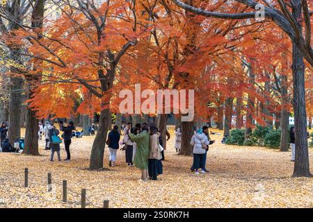 Tokio, Japan - 14. Dezember 2024 - Menschen genießen ihre Freizeit im Park, um herbstfarbene Ahornblätter zu beobachten und zu fotografieren Stockfoto